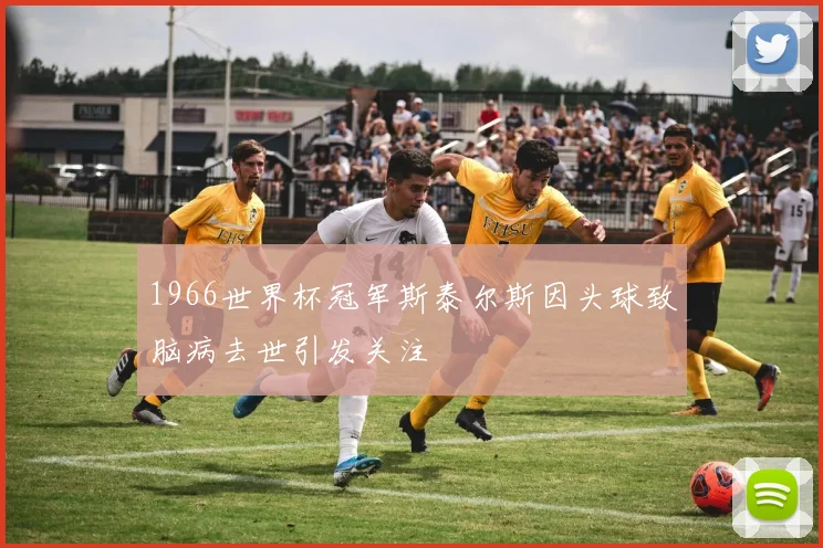 1966世界杯冠军斯泰尔斯因头球致脑病去世引发关注